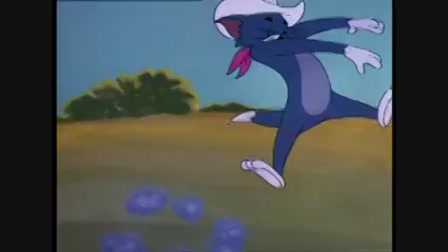 Tom és Jerry - A farmer macskája 