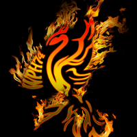 DS780 És WPH74 Produkciók