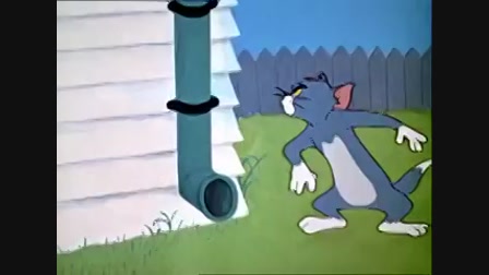 Tom és Jerry - Madárlesen